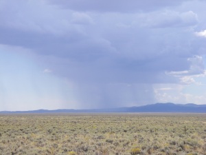 Nevada storms